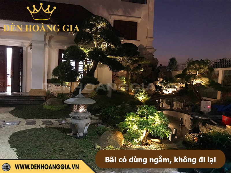 Bãi cỏ để ngắm (không đi lại nhiều)