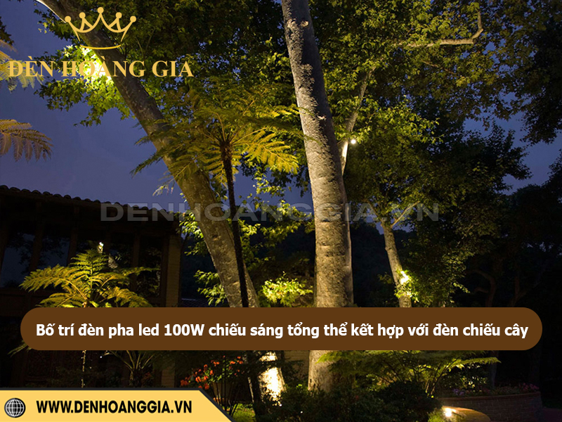 Bố trí đèn pha led 100W chiếu sáng tổng thể sân vườn kết hợp thêm với đèn chiếu cây