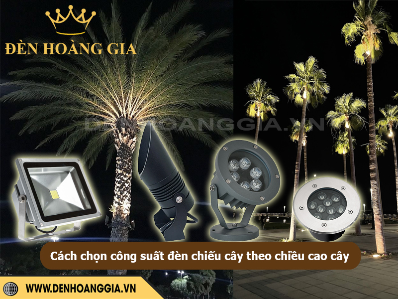 Cách chọn công suất đèn chiếu cây theo chiều cao cây