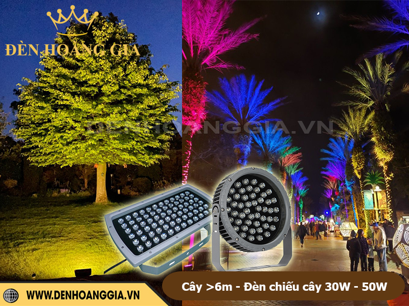 Cây cao trên 6m lắp đèn 30W - 50W