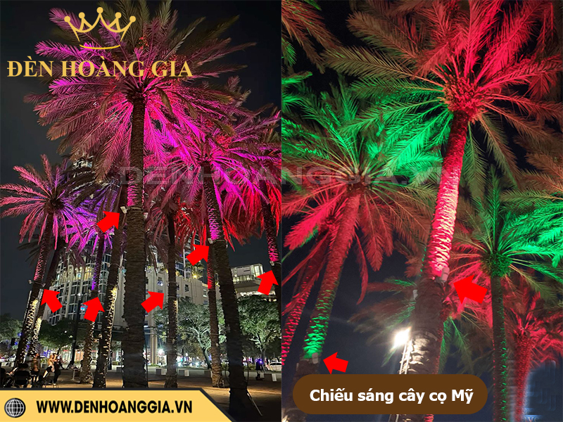 Giải pháp chiếu sáng cây cọ thân cao