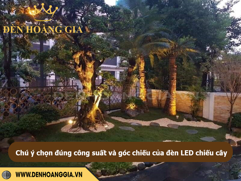 Chọn đúng công suất và góc chiếu của đèn LED chiếu cây
