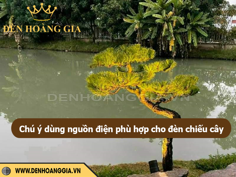 Chú ý dùng nguồn điện phù hợp cho đèn chiếu cây