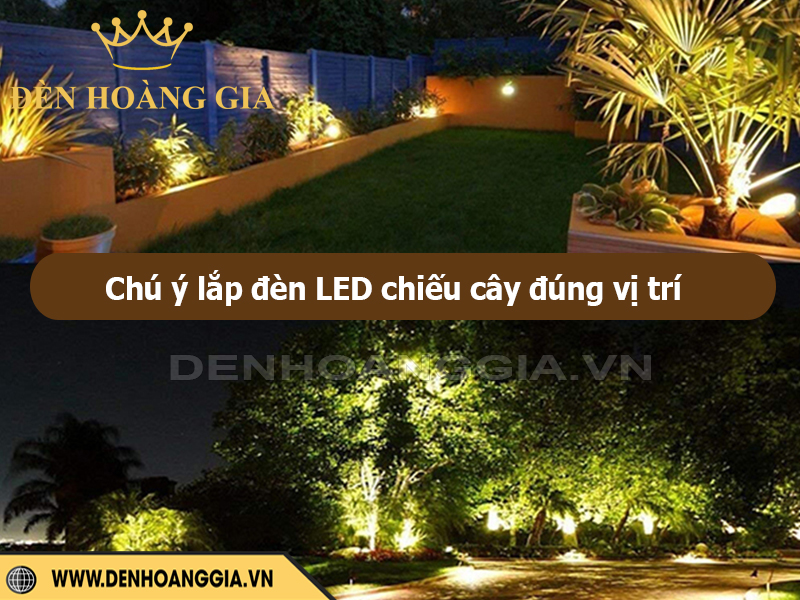 Lưu ý lắp đặt đèn chiếu cây đúng vị trí