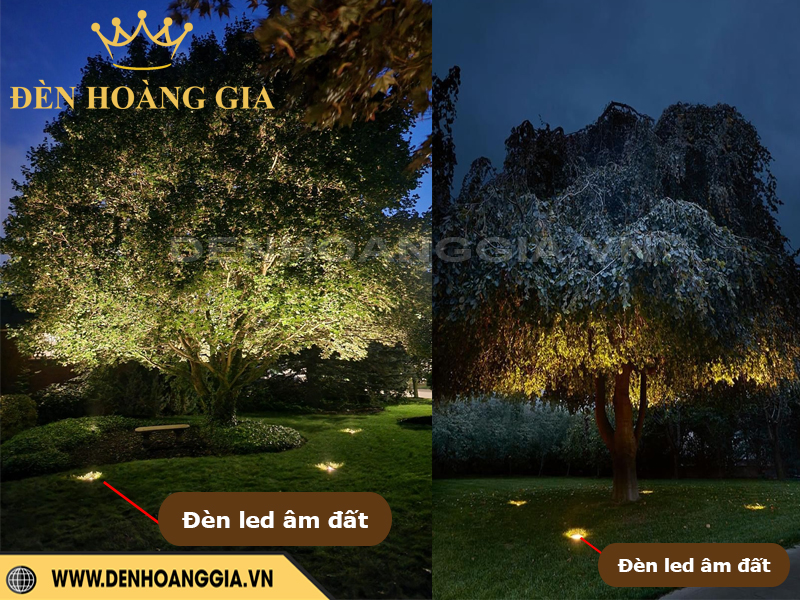 Đèn âm đất chiếu cây lớn