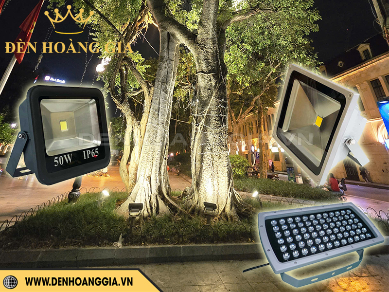 Giải pháp lắp đèn chiếu cây cổ thụ