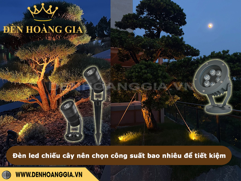 Đèn led chiếu cây nên chọn công suất bao nhiêu để tiết kiệm