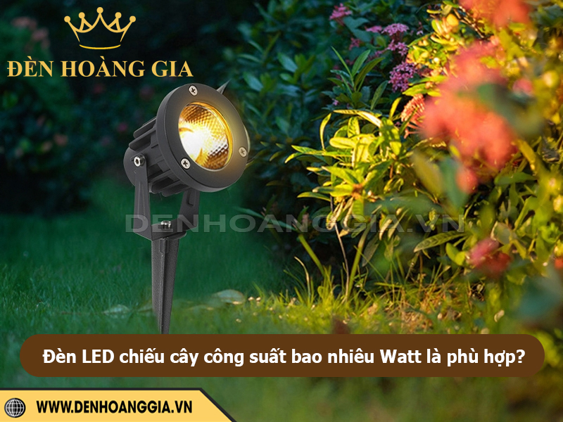 Đèn LED chiếu cây công suất bao nhiêu Watt là phù hợp?