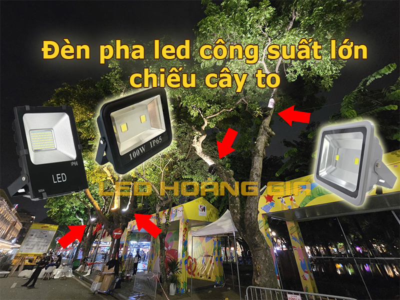 Đèn pha công suất lớn chiếu cây