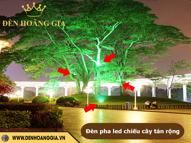 Đèn pha led chiếu cây tán rộng