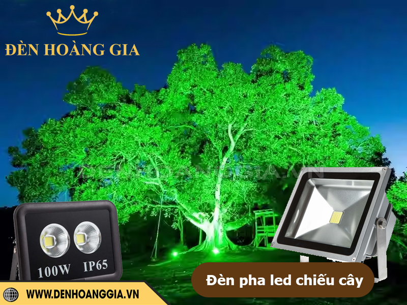 Đèn pha led chiếu cây