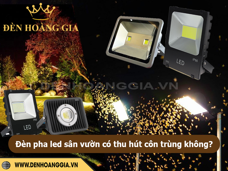 Đèn pha LED sân vườn có thu hút côn trùng không?