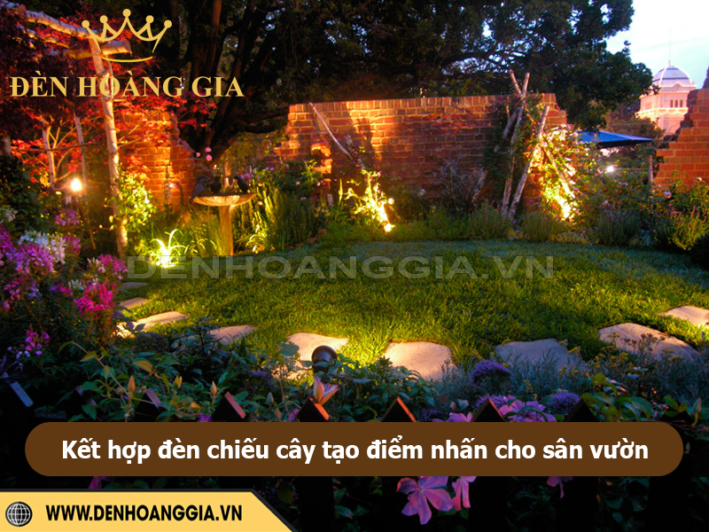 Kết hợp đèn chiếu cây tạo điểm nhấn cho sân vườn