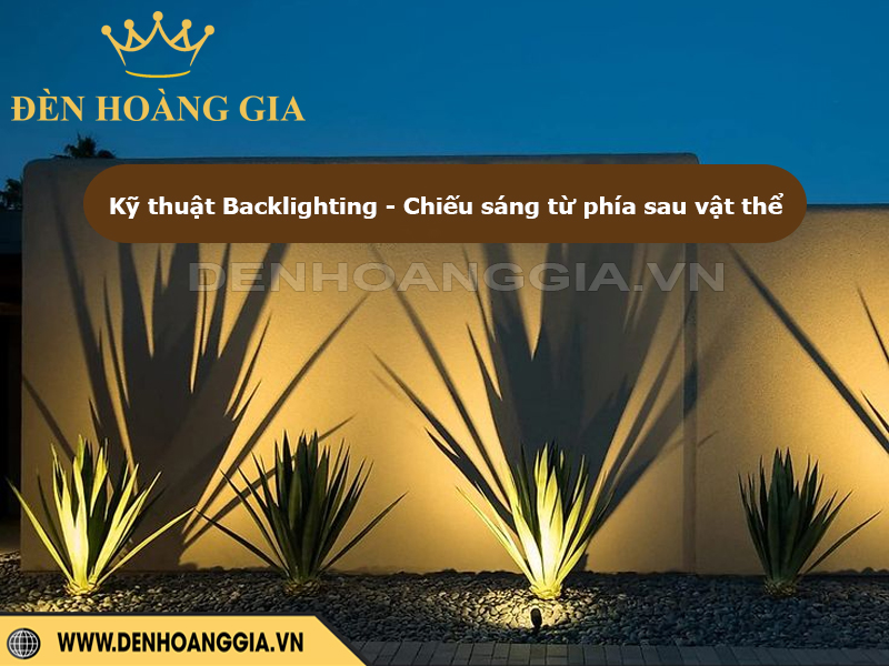 Kỹ thuật Backlighting - Chiếu sáng từ phía sau vật thể