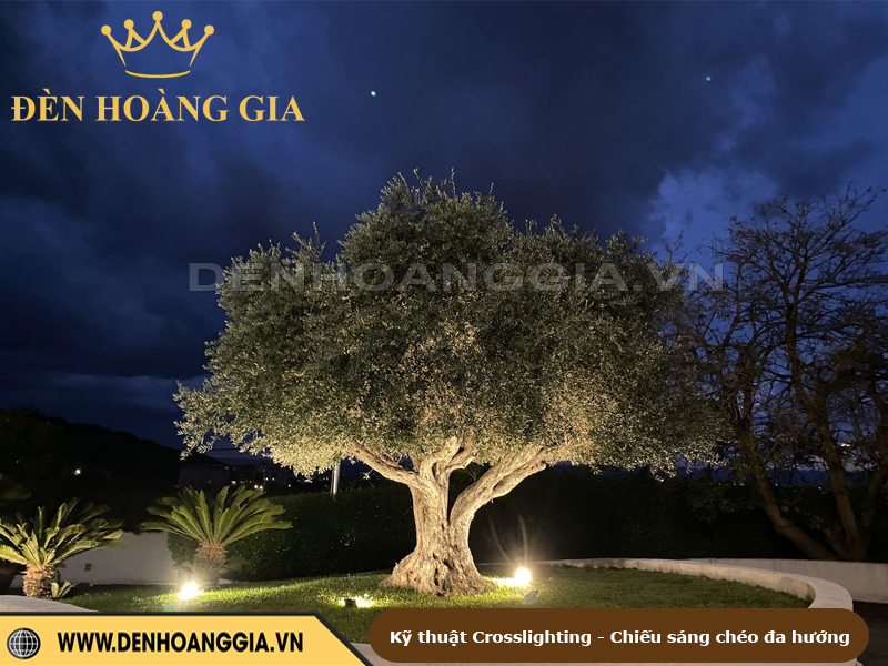 Kỹ thuật Crosslighting - Chiếu sáng chéo đa hướng