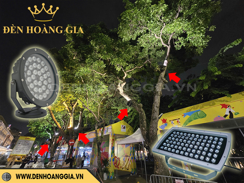 Lắp đèn chiếu sáng trên nhánh cây