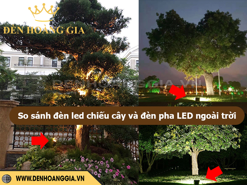 So sánh đèn led chiếu cây và đèn pha led ngoài trời