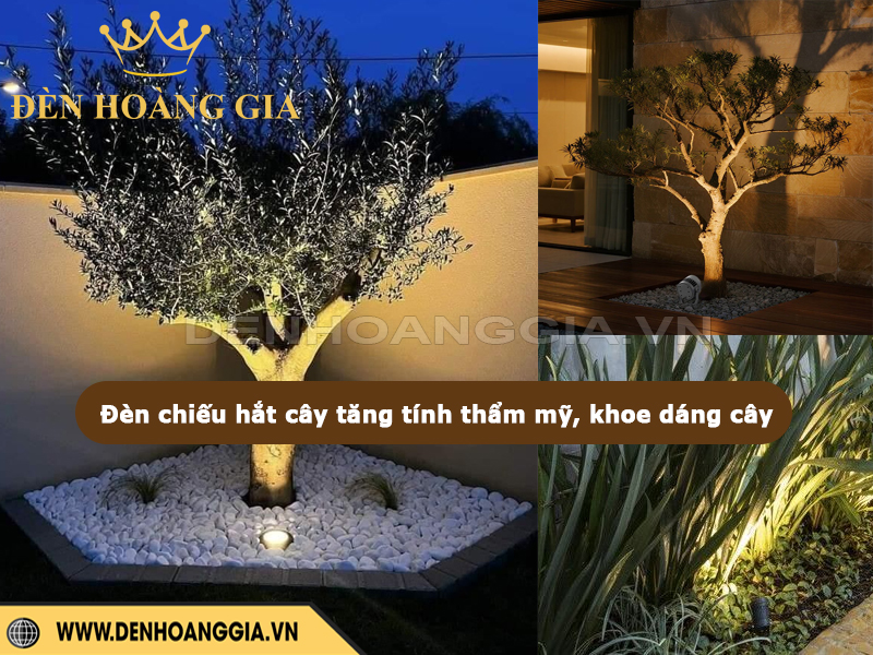 Đèn hắt chiếu cây tăng tính thẩm mỹ, khoe dáng cây