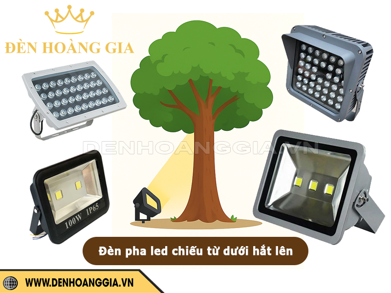 Lắp đèn pha led chiếu cây từ dưới hắt lên