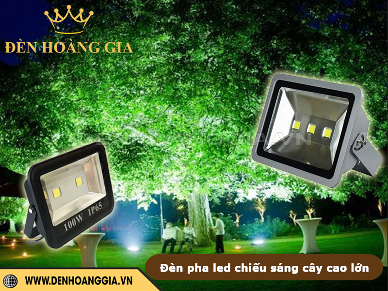 Đèn pha led chiếu sáng cây cao lớn