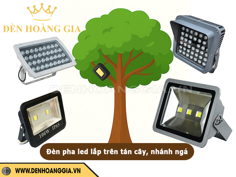 Đèn pha led lắp trên tán cây hoặc ngả nhánh cây (chiếu xuyên tán)