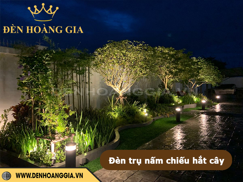 Đèn trụ nấm chiếu hắt cây