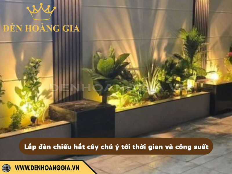 Lắp đèn chiếu cây cần chú ý tới thời gian và công suất