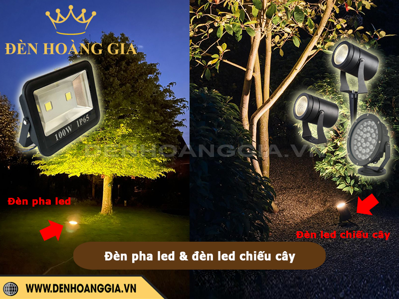 So sánh đèn pha led và đèn led chiếu cây