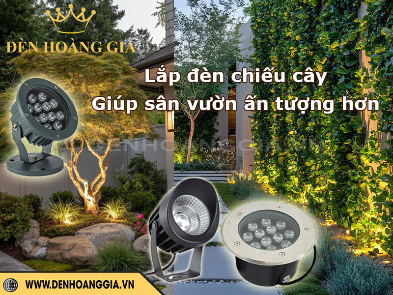 Lắp đèn led chiếu cây giúp không gian sân vườn ấn tượng hơn