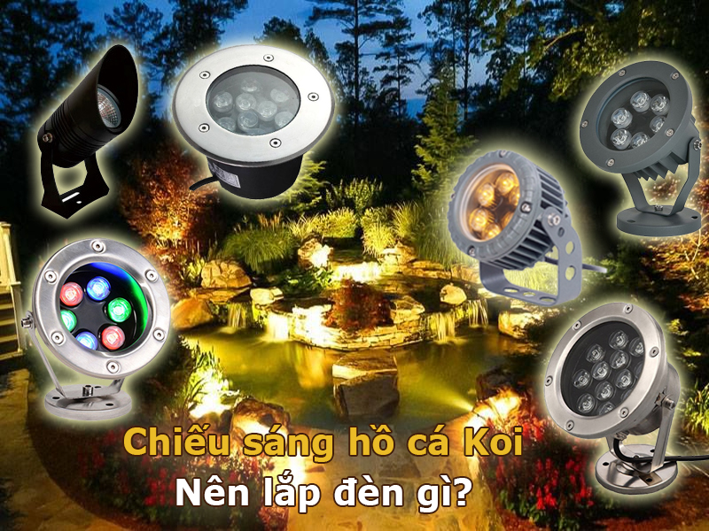 Hồ cá Koi ngoài trời nên dùng loại đèn nào?