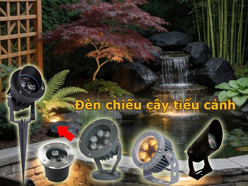 Đèn chiếu cây tiêu cảnh quanh hồ cá koi