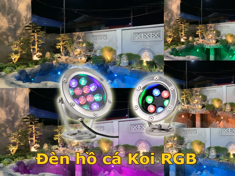 Đèn hồ cá Koi RGB