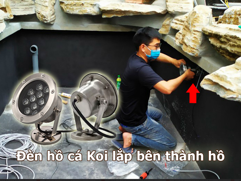 Đèn hồ cá Koi lắp bên thành hồ