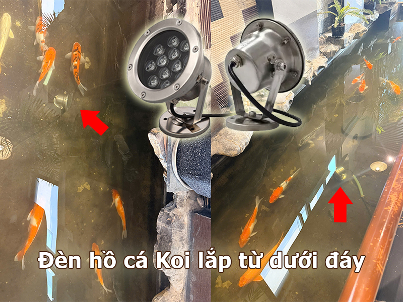 Đèn hồ cá Koi lắp từ dưới lên