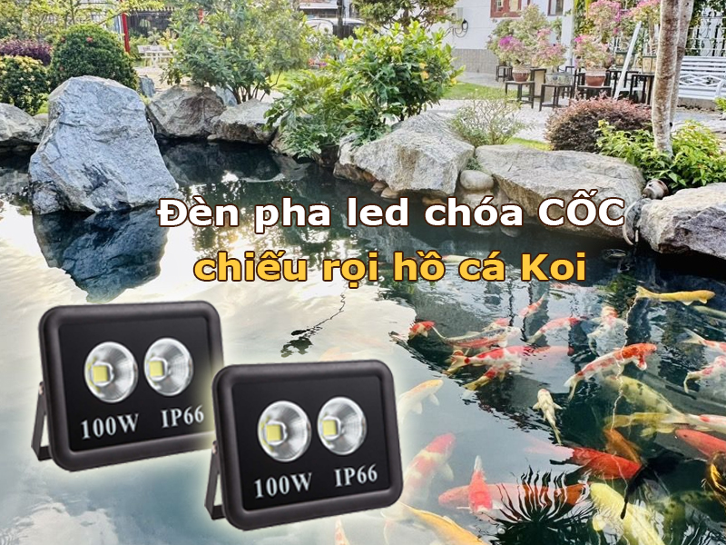 Đèn pha led chóa cốc chiếu rọi hồ cá Koi