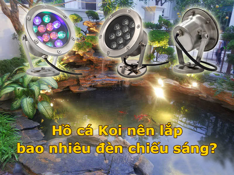 Hồ cá Koi cần lắp bao nhiêu đèn chiếu sáng là đủ?