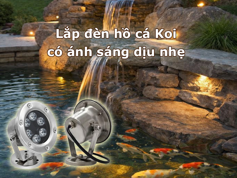 Lắp đèn hồ cá Koi có ánh sáng dịu nhẹ