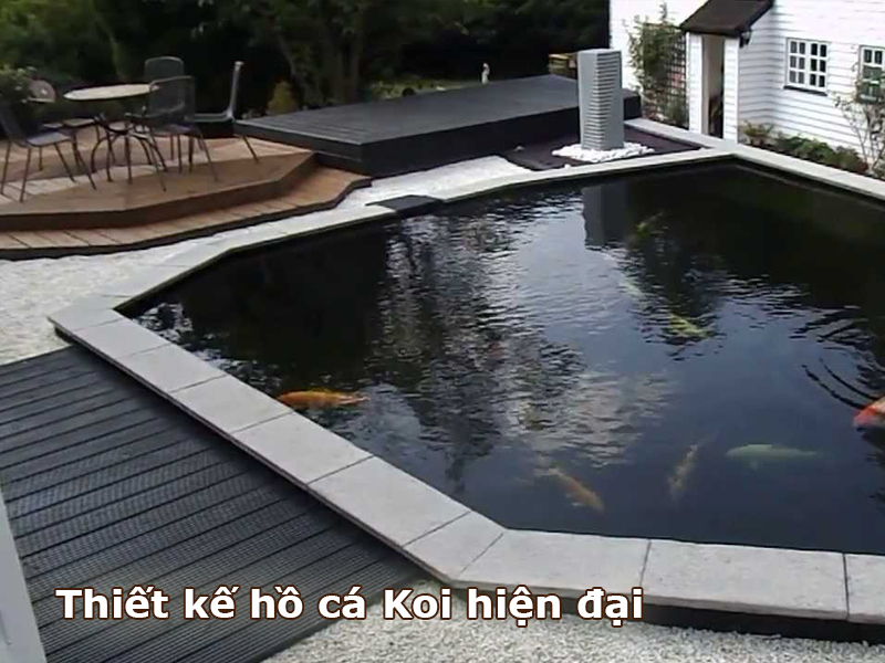Thiết kế hồ cá Koi hiện đại