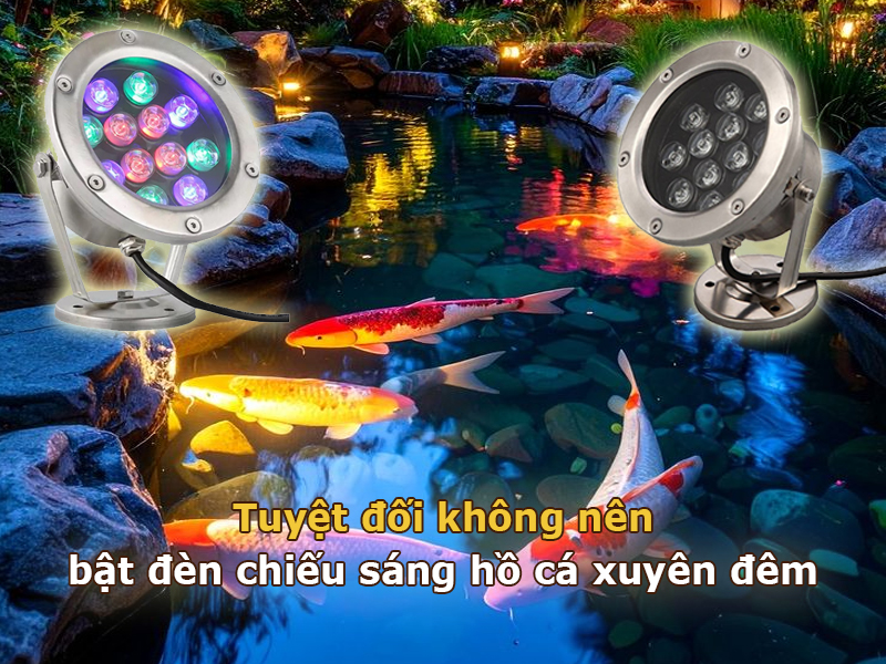 Tuyệt đối không nên bật đèn suốt cả đêm