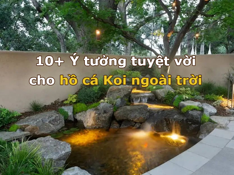 10+ Ý tưởng tuyệt vời cho hồ cá Koi ngoài trời