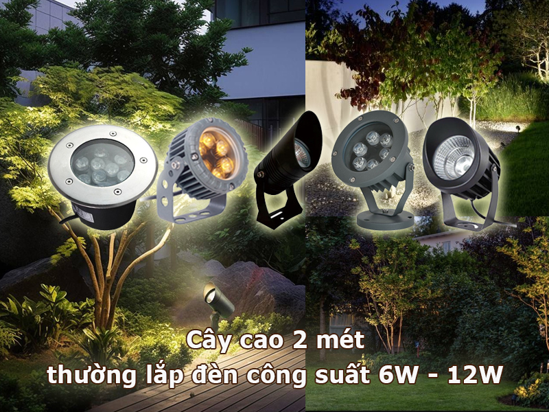 Cây cao 2 mét nên dùng đèn chiếu cây 6W - 12W