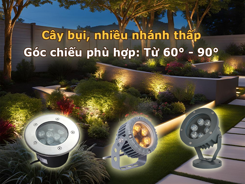 Chiếu sáng cây bụi, cây nhiều nhánh thấp