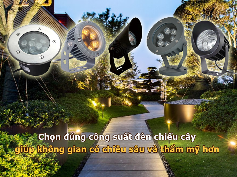 Chọn đúng công suất đèn chiếu cây giúp không gian có chiều sâu và tính thẩm mỹ hơn