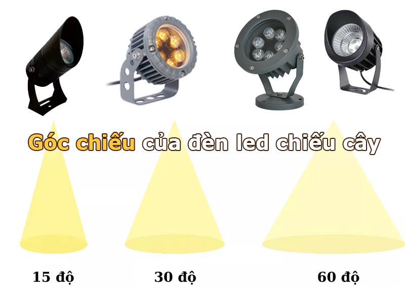 Góc chiếu của đèn LED chiếu cây