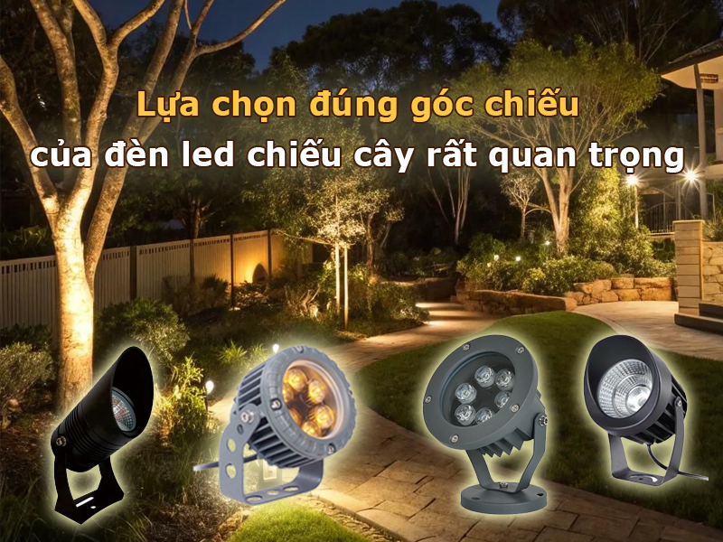 Lựa chọn đúng góc chiếu của đèn led chiếu cây