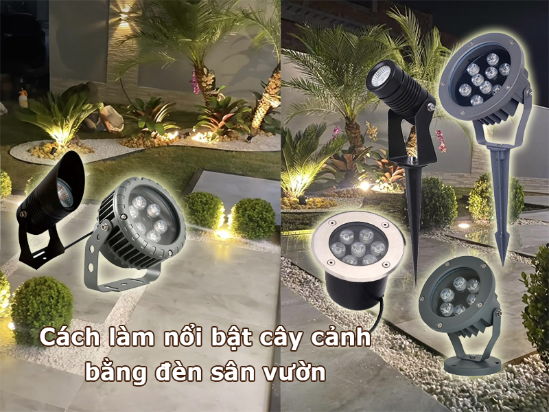 Cách làm nổi bật cây cảnh bằng đèn sân vườn