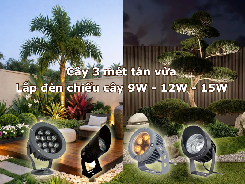Cây 3 mét tán vừa nên lắp đèn led chiếu cây 9W - 12W