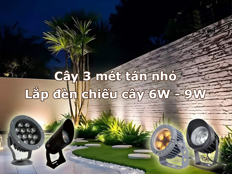 Cây 3 mét tán nhỏ nên lắp đèn led chiếu cây 6W - 9W
