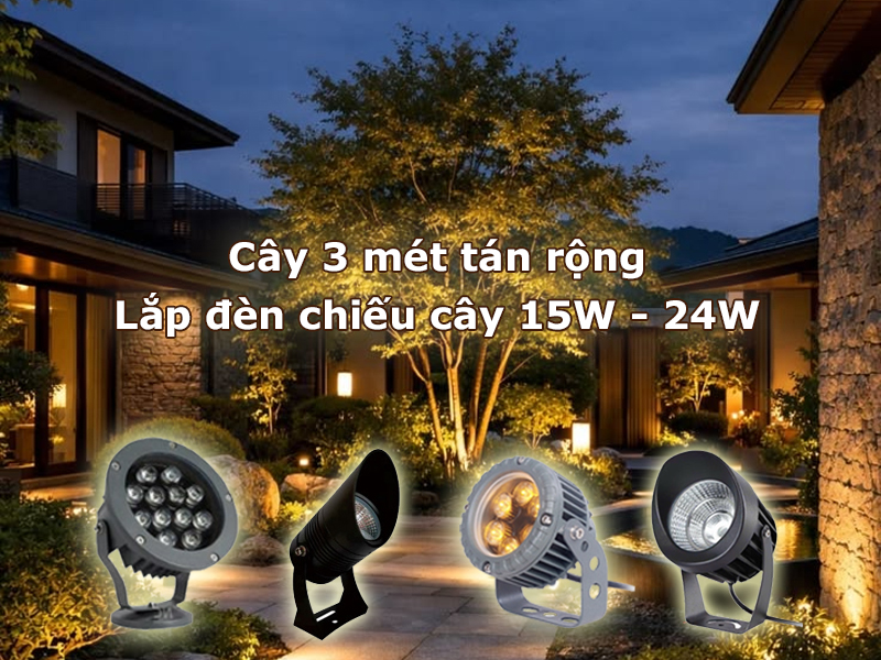 Cây 3 mét tán rộng lắp đèn led chiếu cây 15W - 24W