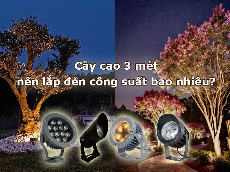 Cây cao 3 mét nên lắp đèn bao nhiêu watt?